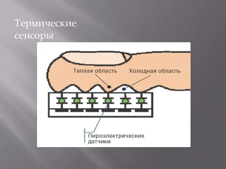 Термические сенсоры