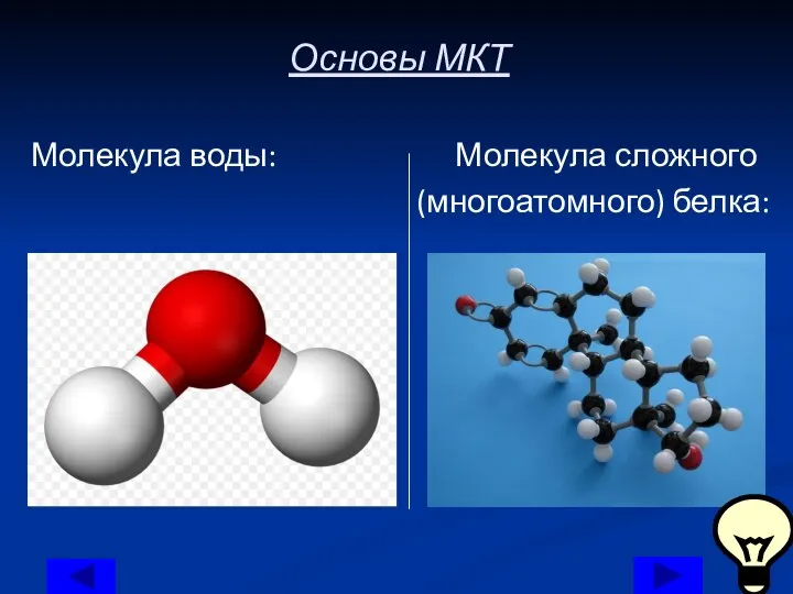 Основы МКТ Молекула воды: Молекула сложного (многоатомного) белка: