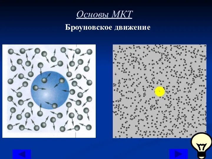 Основы МКТ Броуновское движение