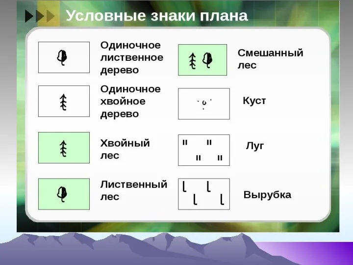 Условные знаки плана Одиночное лиственное дерево Одиночное хвойное дерево Хво... Слайд 28 из 42