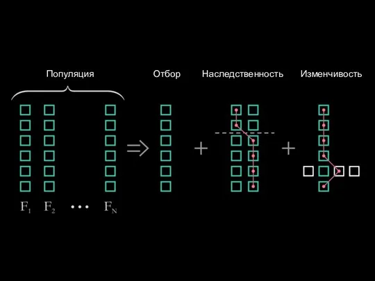 Популяция Отбор Наследственность Изменчивость