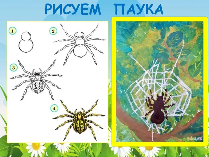 РИСУЕМ ПАУКА