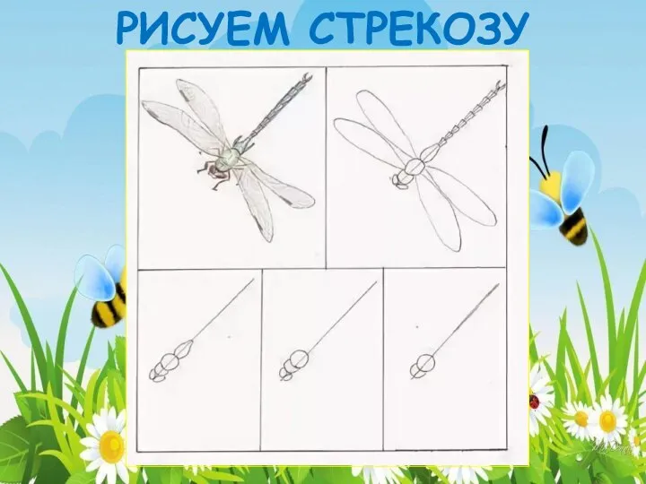 РИСУЕМ СТРЕКОЗУ