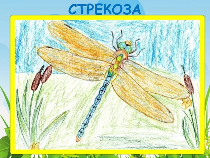 СТРЕКОЗА