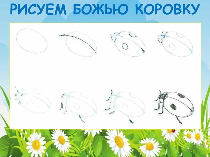 РИСУЕМ БОЖЬЮ КОРОВКУ