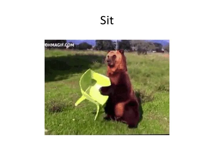 Sit