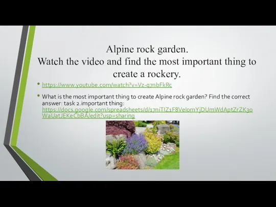 Alpine rock garden. Watch the video and find the most important thing