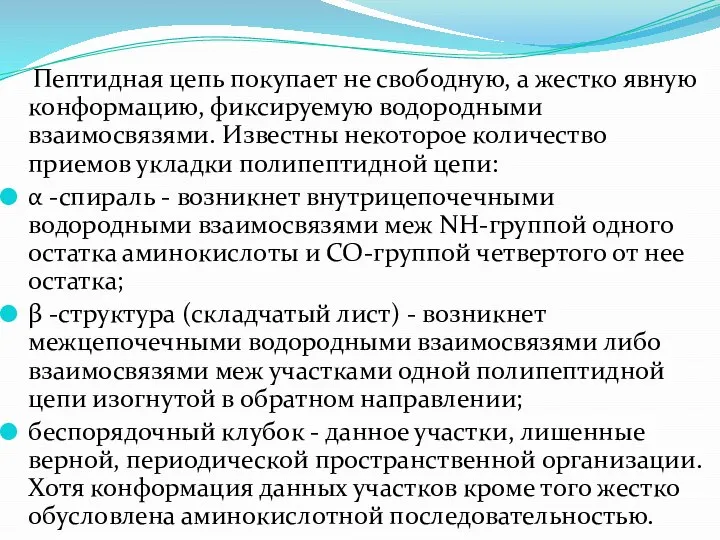 Пептидная цепь покупает не свободную, а жестко явную конформацию, фиксируемую водородными взаимосвязями.