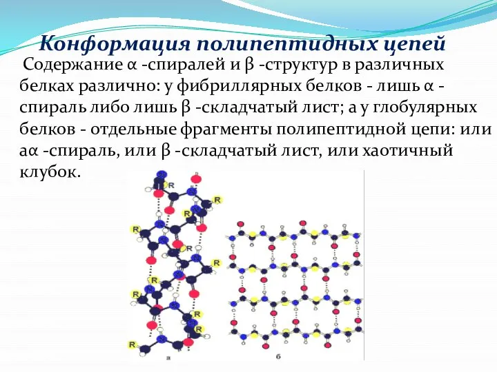 Содержание α -спиралей и β -структур в различных белках различно: у фибриллярных