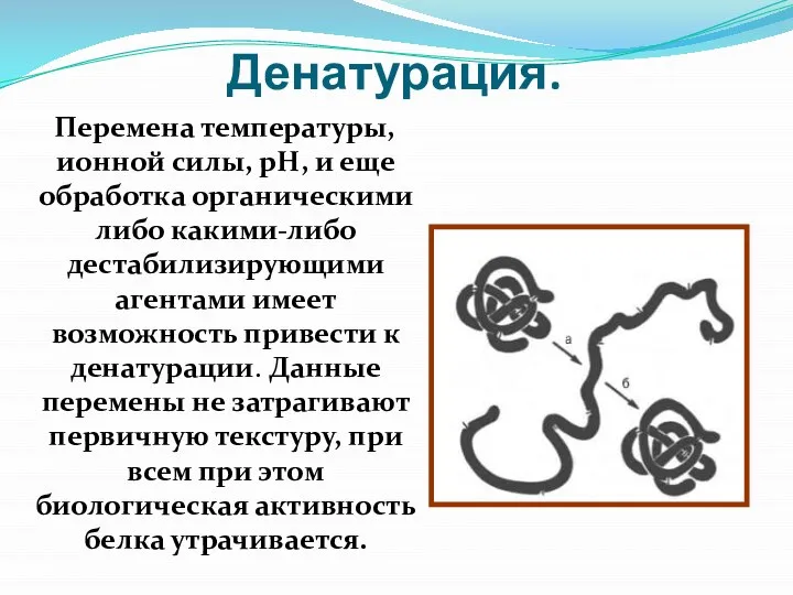 Денатурация. Перемена температуры, ионной силы, рН, и еще обработка органическими либо какими-либо