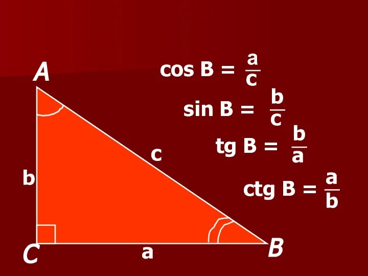 cos В = sin В = tg В = ctg В =