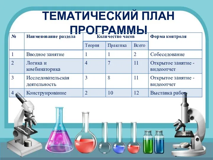 ТЕМАТИЧЕСКИЙ ПЛАН ПРОГРАММЫ