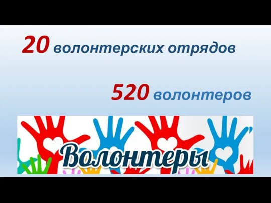20 волонтерских отрядов 520 волонтеров