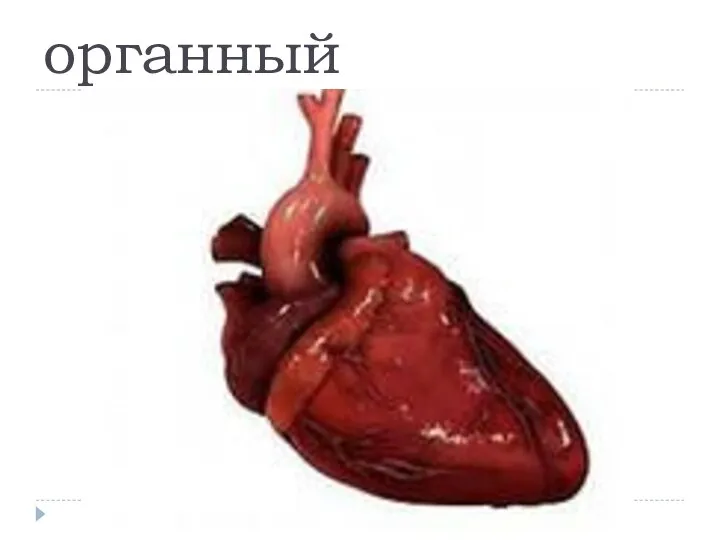 органный