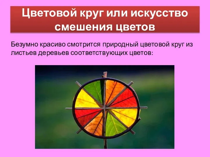 Цветовой круг или искусство смешения цветов Безумно красиво смотрится природный цветовой круг