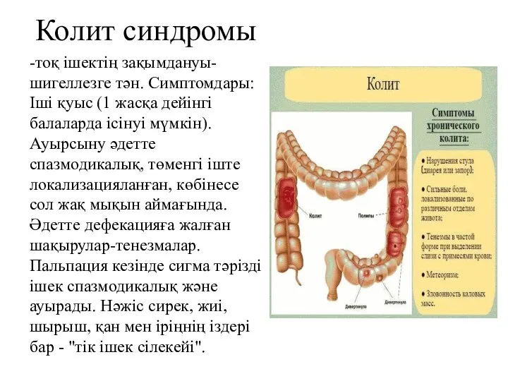 Колит синдромы -тоқ ішектің зақымдануы-шигеллезге тән. Симптомдары: Іші қуыс (1 жасқа дейінгі