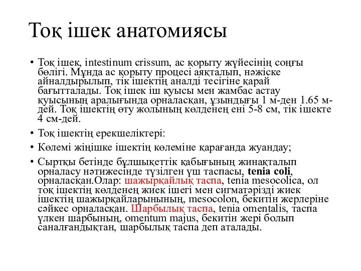 Тоқ ішек анатомиясы Тоқ ішек, intestinum crissum, ас қорыту жүйесінің соңғы бөлігі.