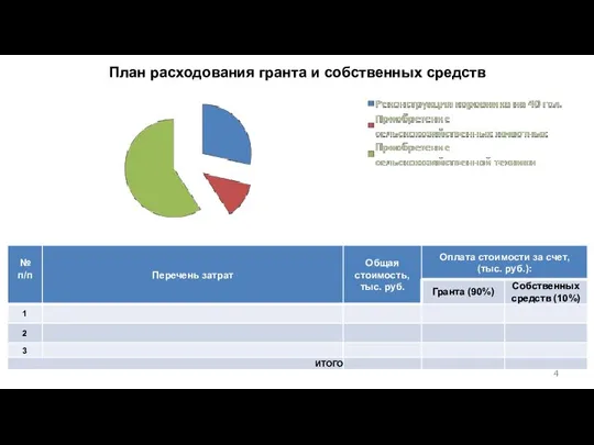 План расходования гранта и собственных средств