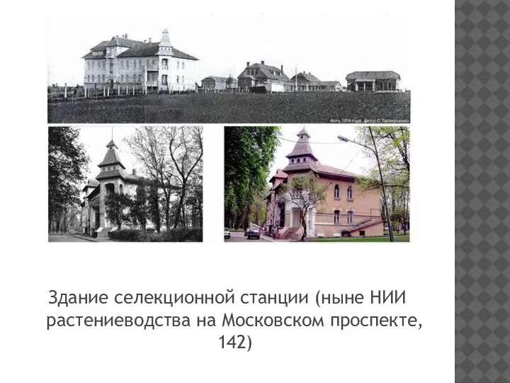 Здание селекционной станции (ныне НИИ растениеводства на Московском проспекте, 142)