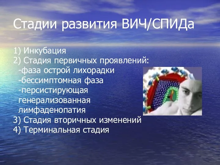 Стадии развития ВИЧ/СПИДа 1) Инкубация 2) Стадия первичных проявлений: -фаза острой лихорадки