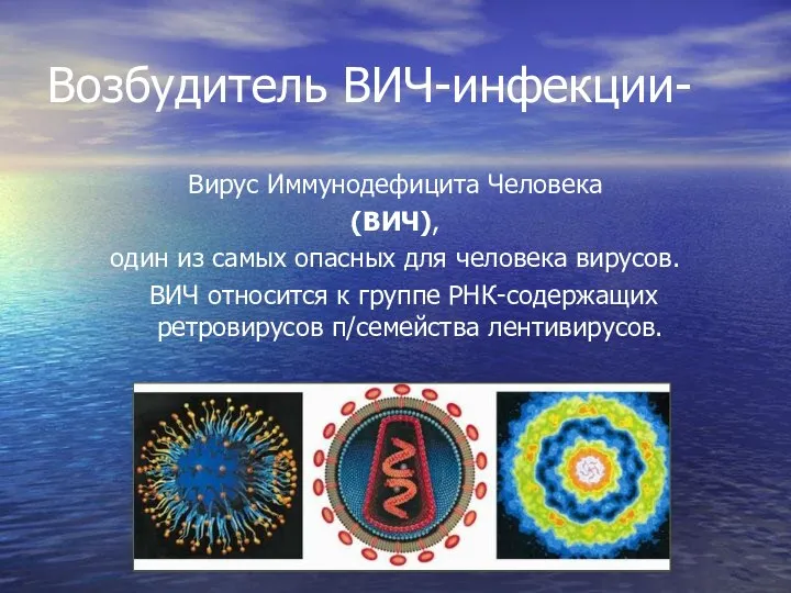 Возбудитель ВИЧ-инфекции- Вирус Иммунодефицита Человека (ВИЧ), один из самых опасных для человека