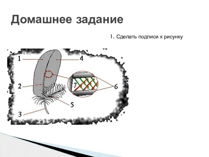 Домашнее задание 1. Сделать подписи к рисунку