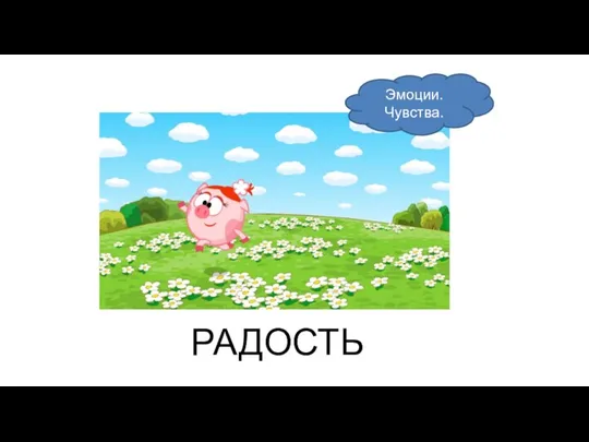 РАДОСТЬ Эмоции. Чувства.