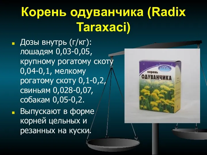 Корень одуванчика (Radix Taraxаci) Дозы внутрь (г/кг): лошадям 0,03-0,05, крупному рогатому скоту