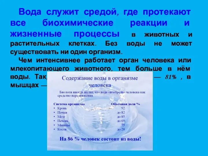 Вода служит средой, где протекают все биохимические реакции и жизненные процессы в