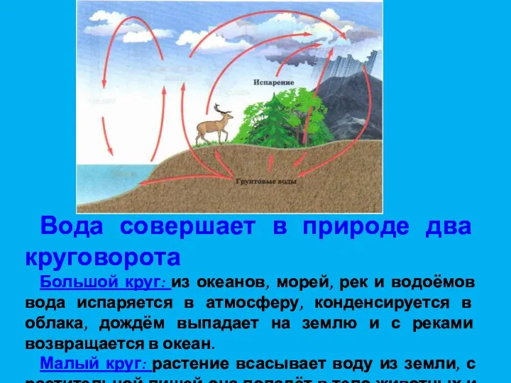 Вода совершает в природе два круговорота Большой круг: из океанов, морей, рек