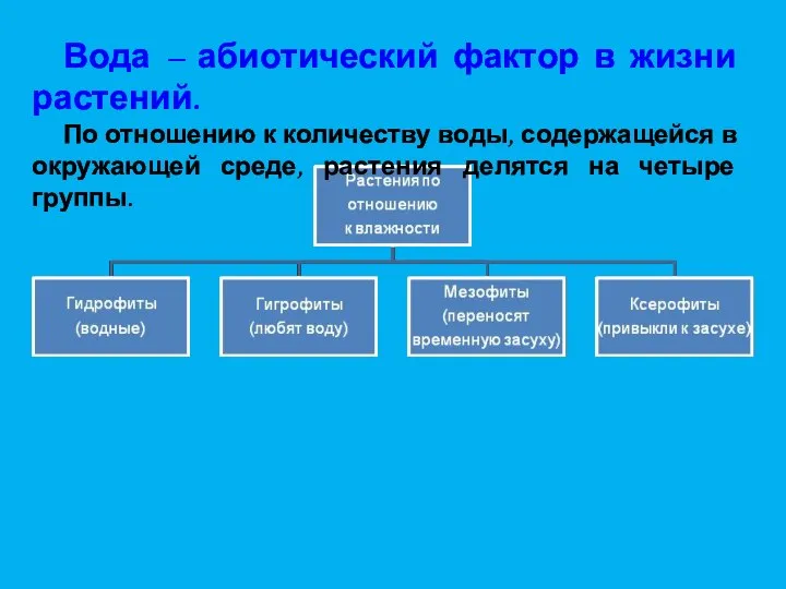 Вода – абиотический фактор в жизни растений. По отношению к количеству воды,