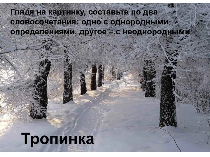 Тропинка Глядя на картинку, составьте по два словосочетания: одно с однородными определениями, другое – с неоднородными