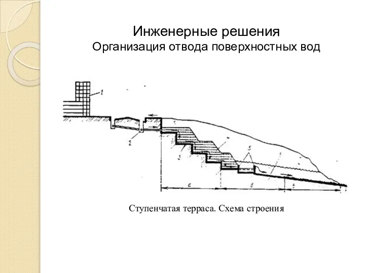 Инженерные решения Организация отвода поверхностных вод Ступенчатая терраса. Схема строения