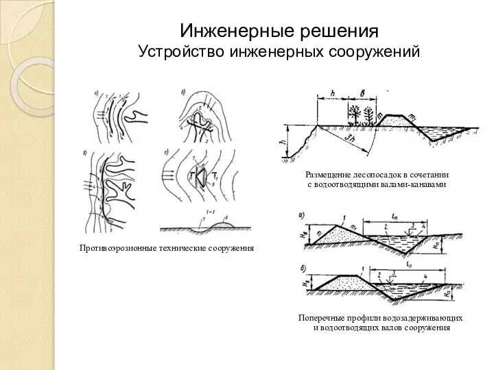 Инженерные решения Устройство инженерных сооружений Противоэрозионные технические сооружения Размещение лесопосадок в сочетании