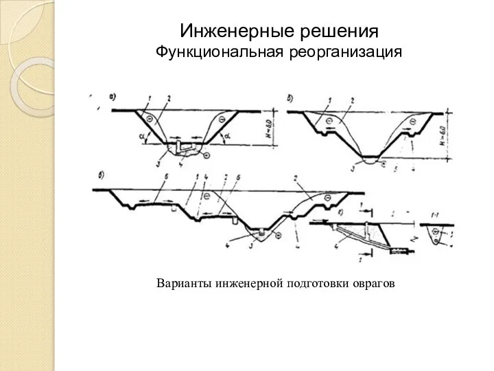 Инженерные решения Функциональная реорганизация Варианты инженерной подготовки оврагов