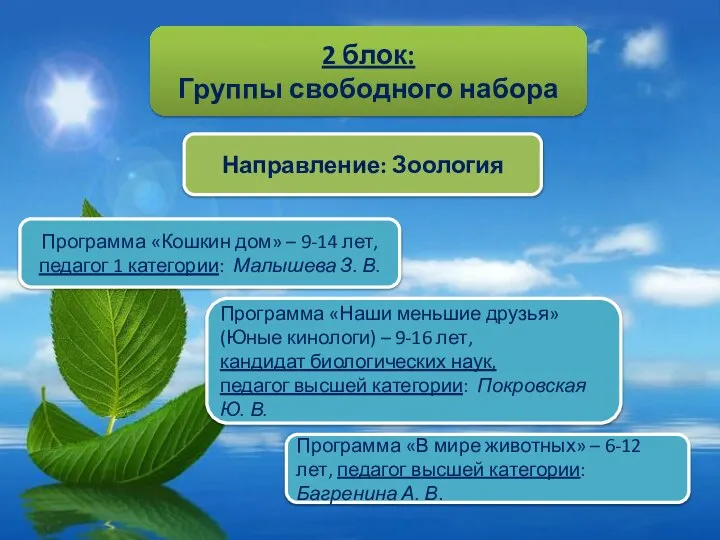 2 блок: Группы свободного набора Направление: Зоология Программа «Кошкин дом» – 9-14