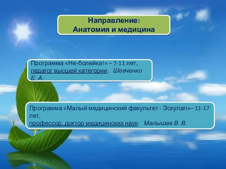 Направление: Анатомия и медицина Программа «Не-болейка!» – 7-11 лет, педагог высшей категории: