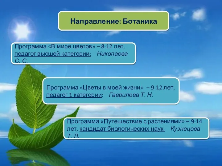 Направление: Ботаника Программа «В мире цветов» – 8-12 лет, педагог высшей категории: