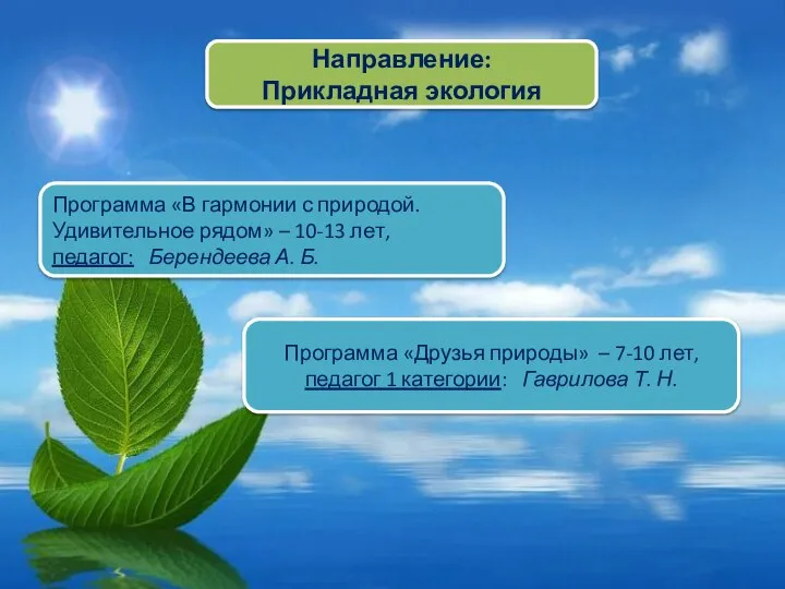 Направление: Прикладная экология Программа «В гармонии с природой. Удивительное рядом» – 10-13