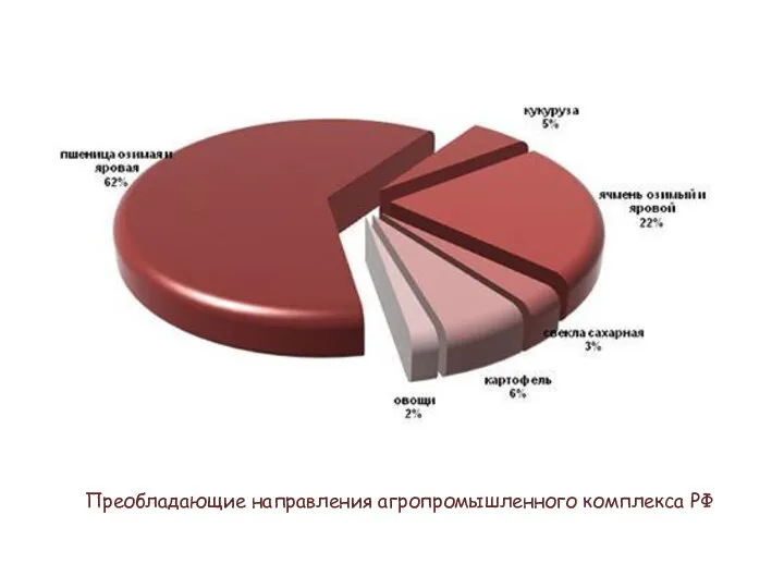 Преобладающие направления агропромышленного комплекса РФ