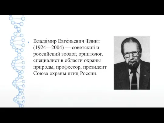 Влади́мир Евге́ньевич Флинт (1924—2004) — советский и российский зоолог, орнитолог, специалист в