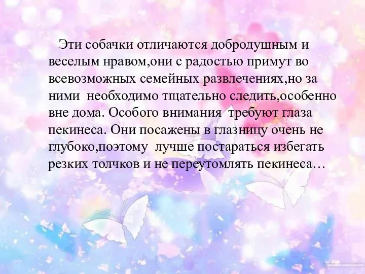 Эти собачки отличаются добродушным и веселым нравом,они с радостью примут во всевозможных