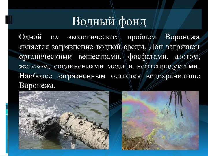 Одной их экологических проблем Воронежа является загрязнение водной среды. Дон загрязнен органическими