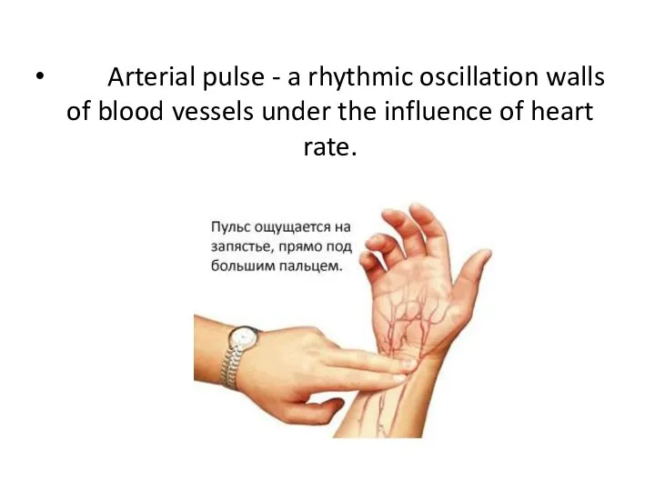 Arterial pulse - a rhythmic oscillation walls of blood vessels under the influence of heart rate.