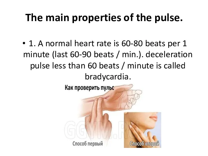 The main properties of the pulse. 1. A normal heart rate is