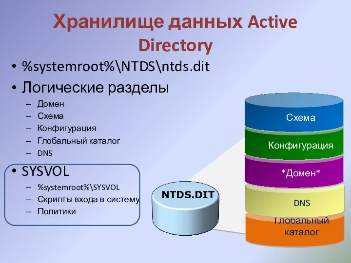 Хранилище данных Active Directory %systemroot%\NTDS\ntds.dit Логические разделы Домен Схема Конфигурация Глобальный каталог