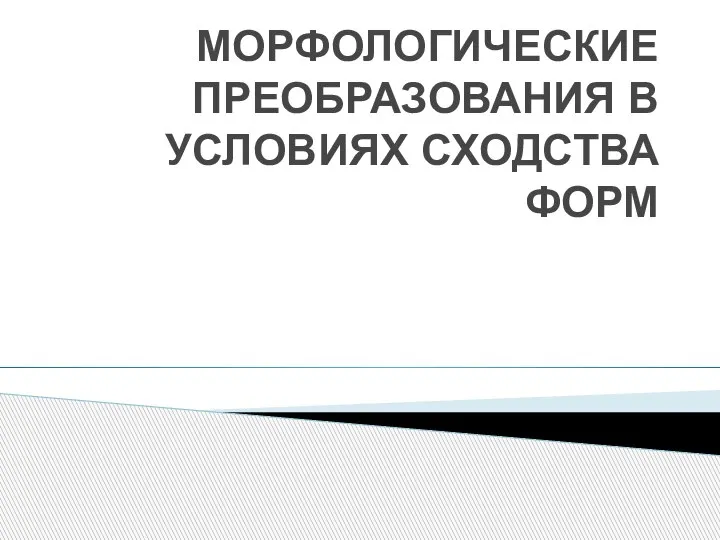 МОРФОЛОГИЧЕСКИЕ ПРЕОБРАЗОВАНИЯ В УСЛОВИЯХ СХОДСТВА ФОРМ