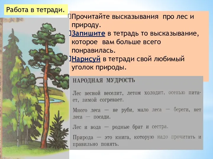 Прочитайте высказывания про лес и природу. Запишите в тетрадь то высказывание, которое