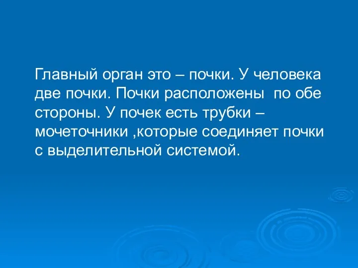 Главный орган это – почки. У человека две почки. Почки расположены по