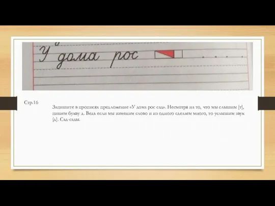 Стр.16 Запишите в прописях предложение «У дома рос сад». Несмотря на то,